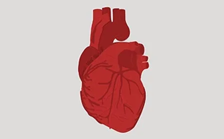 Cardiology and Heart Treatment