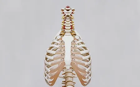 Neurology and Neuro-Spinal Surgery