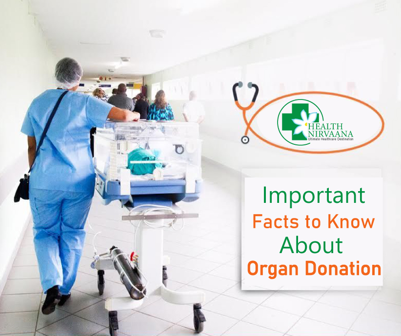 Important Facts to Know About Organ Donation