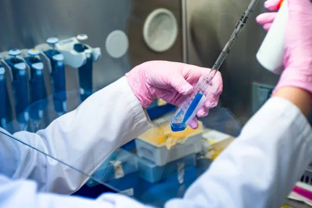 Bone marrow transplant